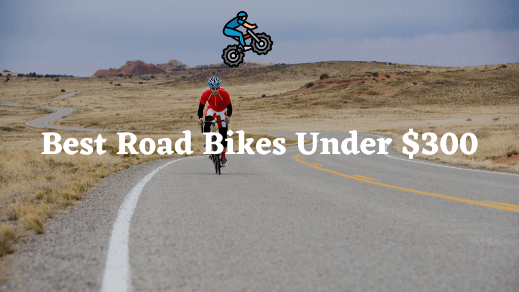 best road bikes under 300